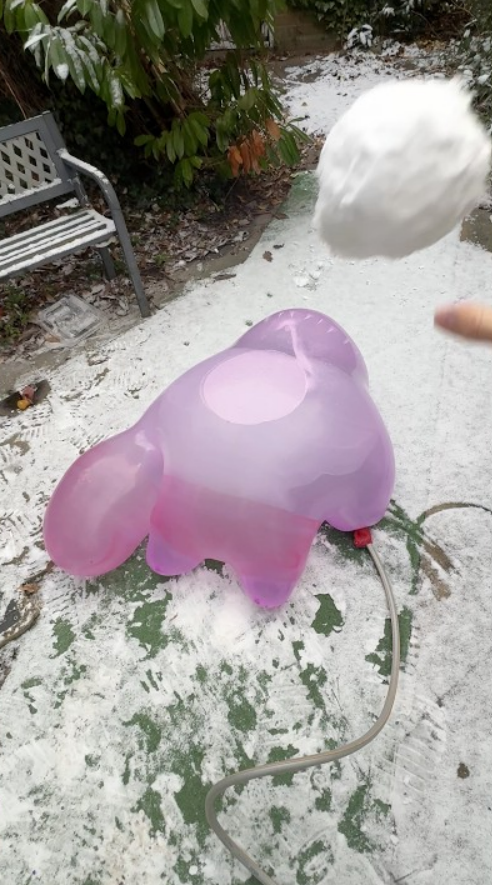Snow flood experiment with expanding snow