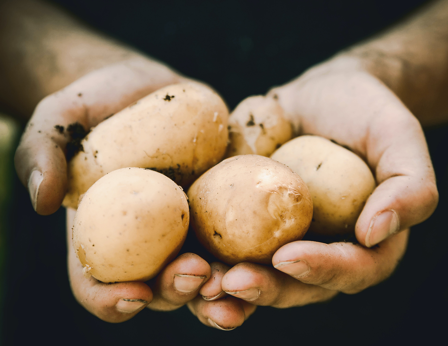 You should never, ever eat these foods raw