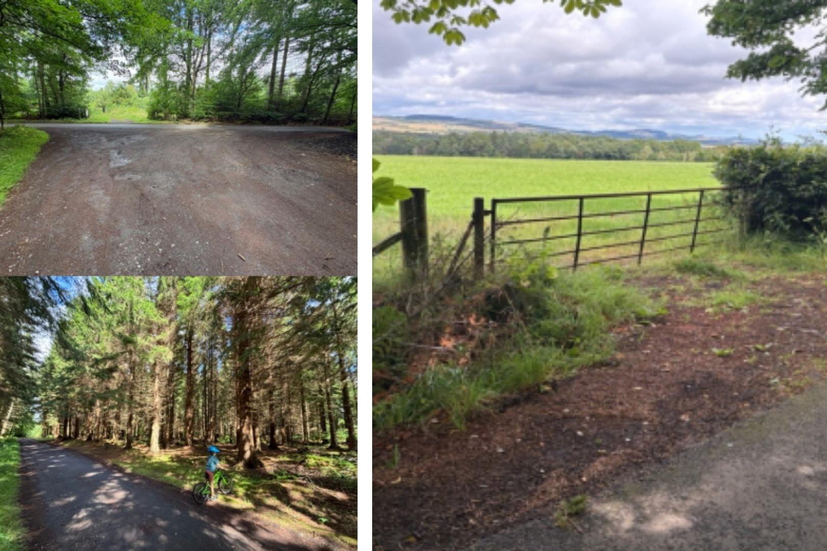 Outdoor learning venture for Fife woodland approved