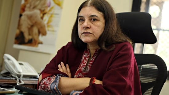 HT interview: New rules on animal testing must take India forward, not ...