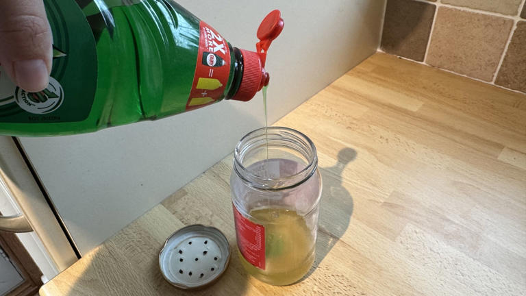 I got rid of my fruit flies with this easy $5 DIY trick using 3 common ...