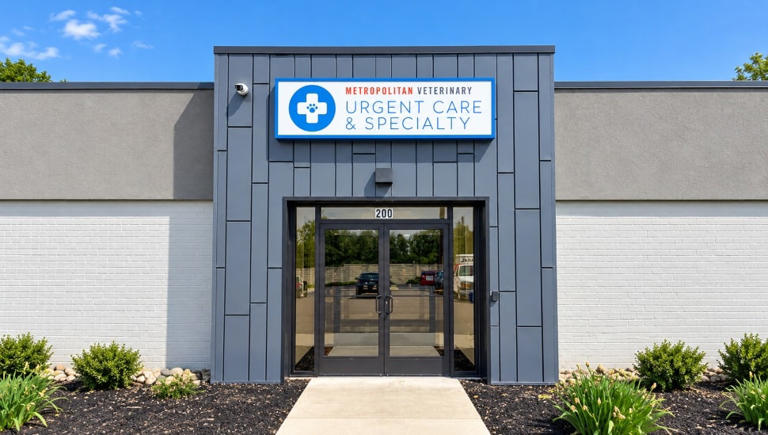 Inside a dog’s TPLO recovery at Metropolitan Veterinary Urgent Care and ...