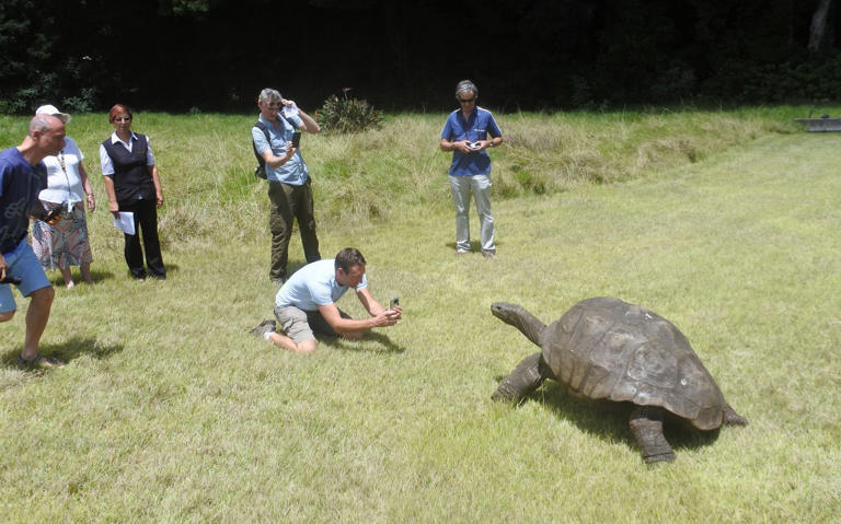 Mit 194 Jahren enthüllt Jonathan, die Schildkröte, Geheimnisse seiner DNA