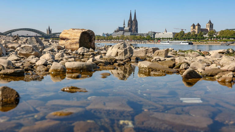 Rheinpegel steigt auf zwei Meter – dann dreht der Trend
