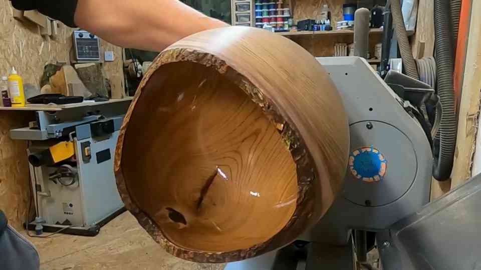 This poisonous British tree produces some of the most beautiful wood ...