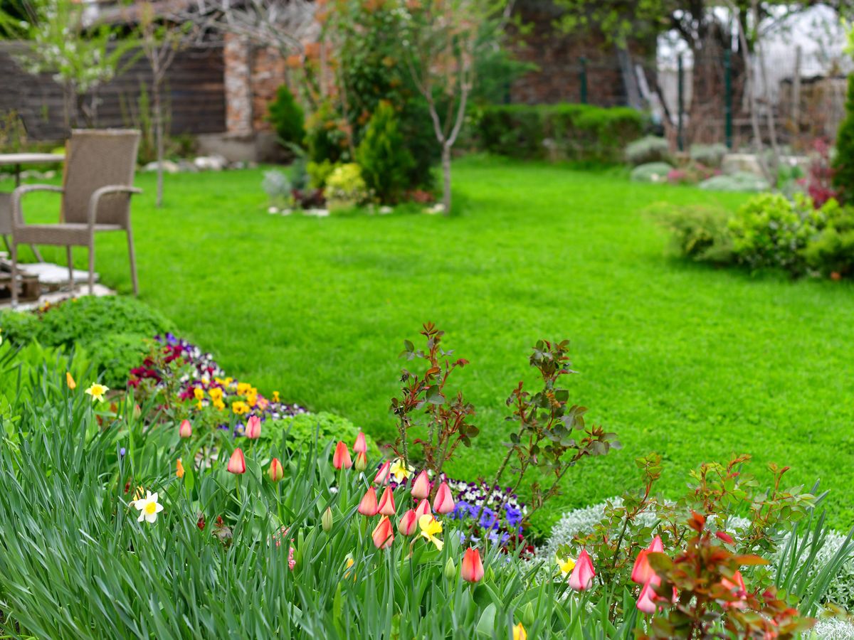 Key task gardeners need to do immediately for a lush lawn next spring