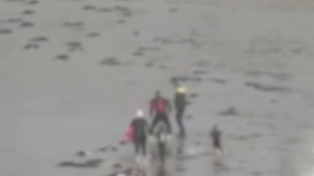 Dad in wetsuit punches man who said he shouldn't take kids into sea ...