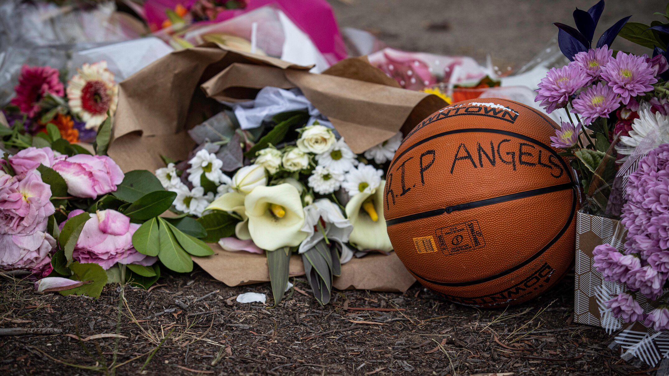 Hillcrest jumping castle tragedy inquest to seek US dust devil ...