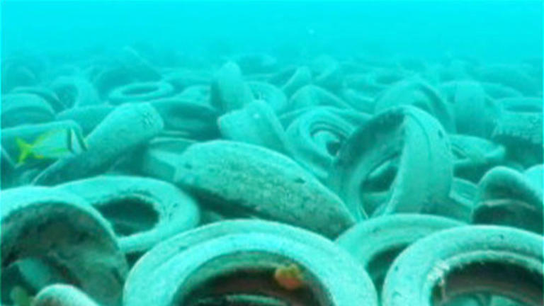 The Florida tire reef that became an environmental disaster