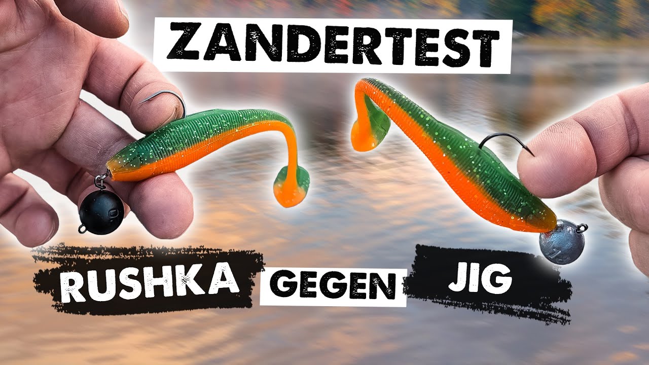 System-Battle: Wer zuerst 10 Zander hat, gewinnt!