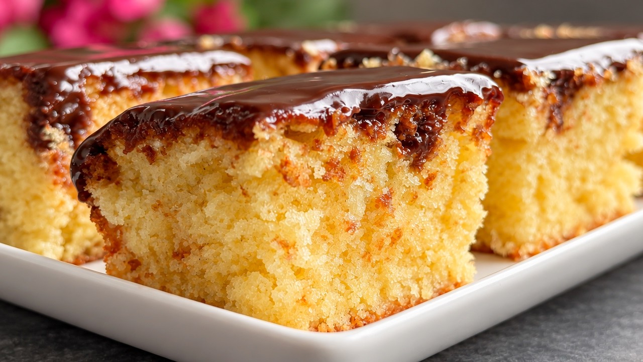 Homemade chocolate coconut cake with rich flavor and texture