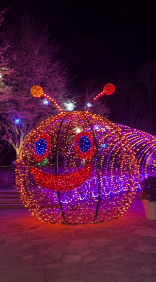 Activities and attractions in Asheville