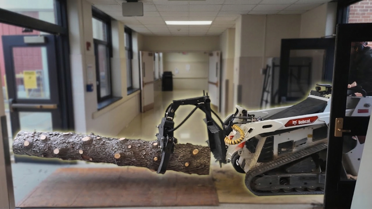 Tree removal inside buildings