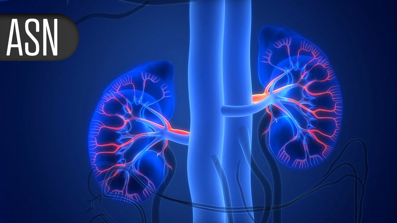 Trio of IgA nephropathy drugs proves mettle in interim analyses
