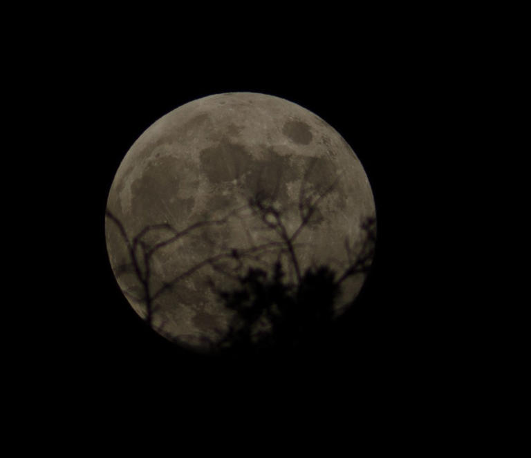 The sky today on Monday, October 26: Observe the October hunter's moon