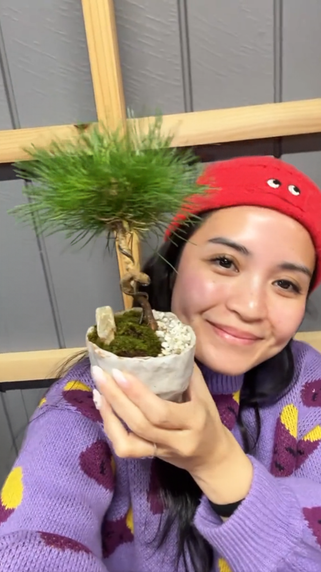 Practical bonsai skills taught in workshops
