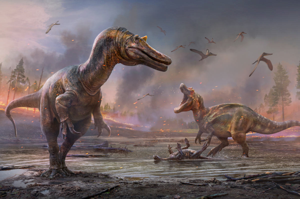 Study upends what was thought about iconic predator dinosaur