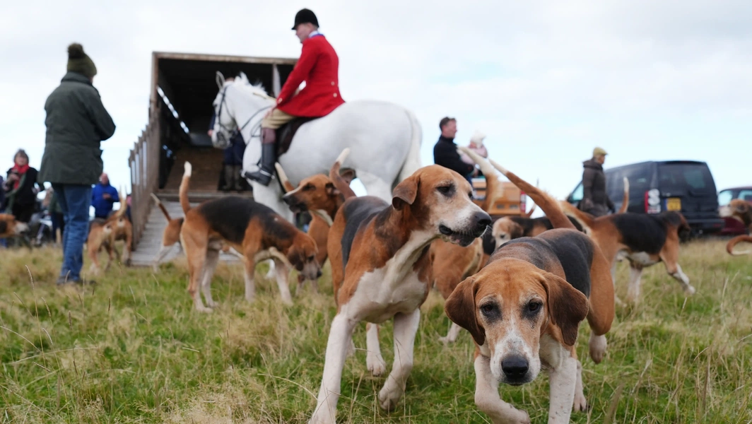 6 legendary hunting dogs with natural instincts