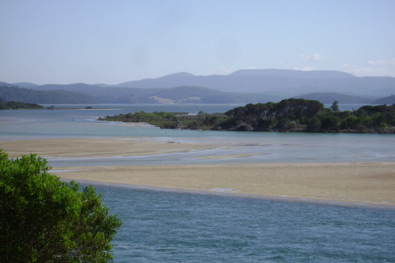 A millennium of evidence reveals colonial roots of Australia’s wildfire ...