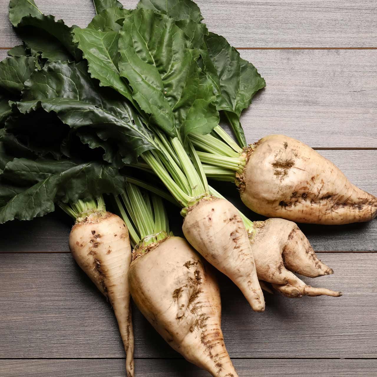 France’s sugar beet harvest set to hit 46-year low as drought cuts ...