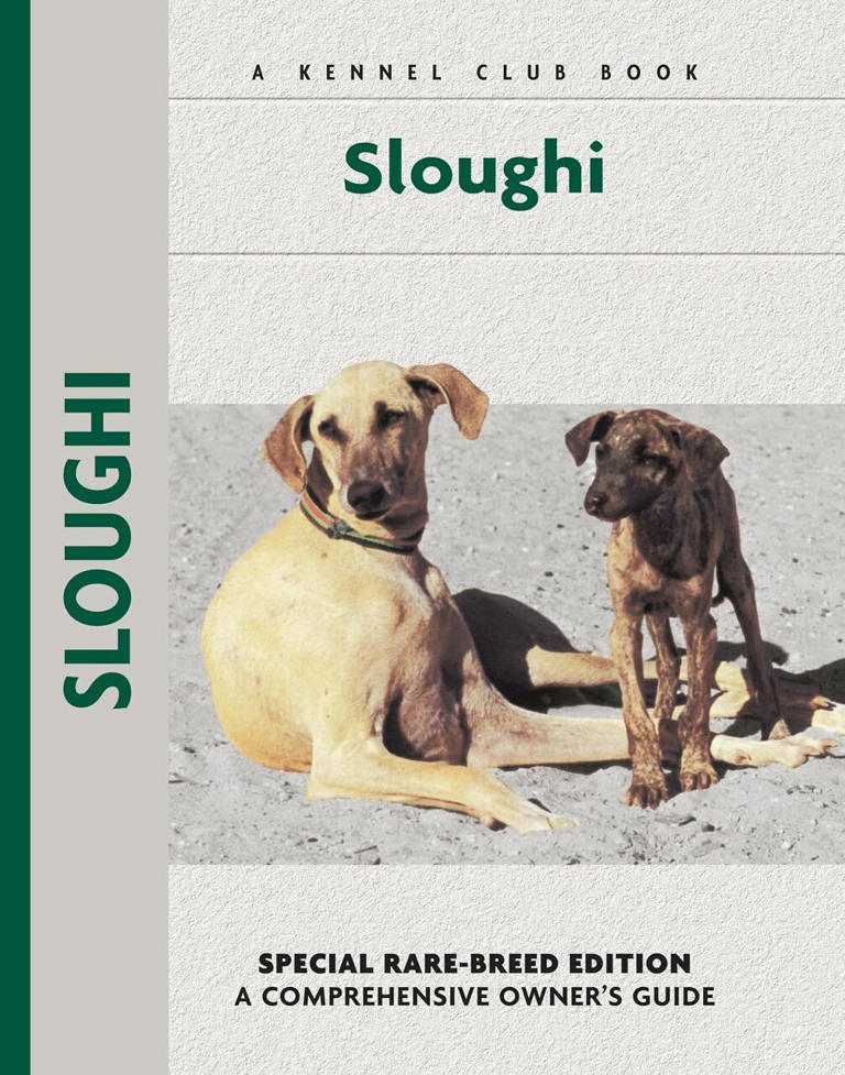 5 of the rarest dog breeds in the world