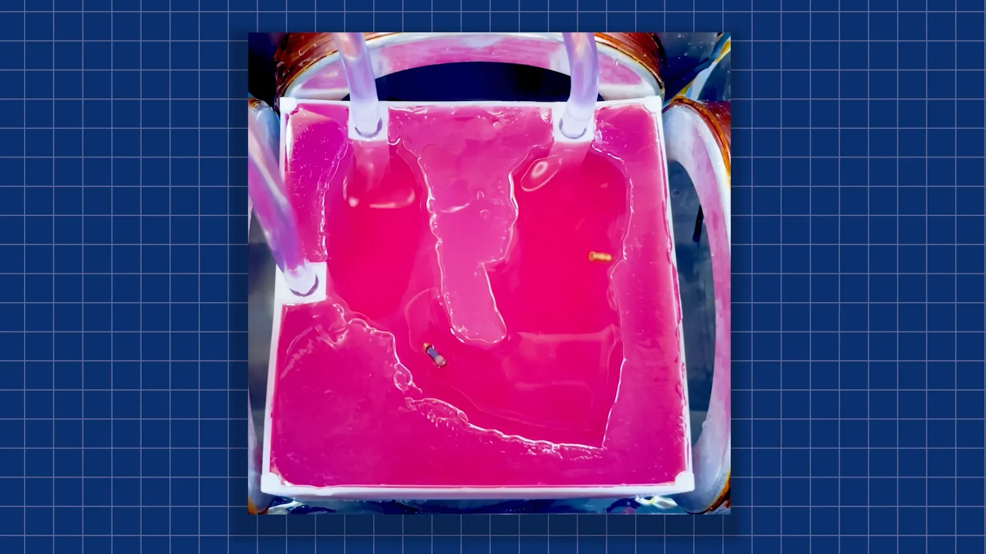 Johns Hopkins engineers develop magnetic millirobots for targeted heart ...
