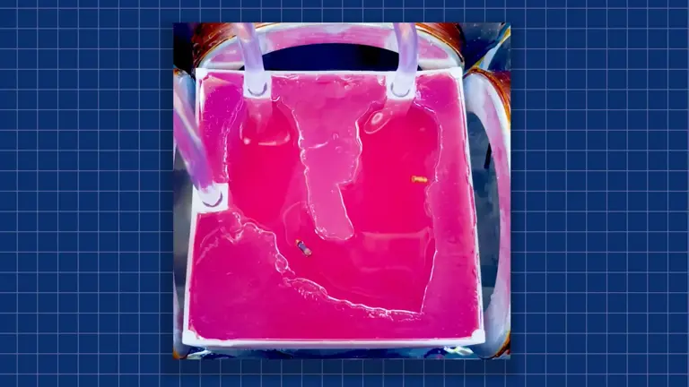 Johns Hopkins engineers develop magnetic millirobots for targeted heart ...