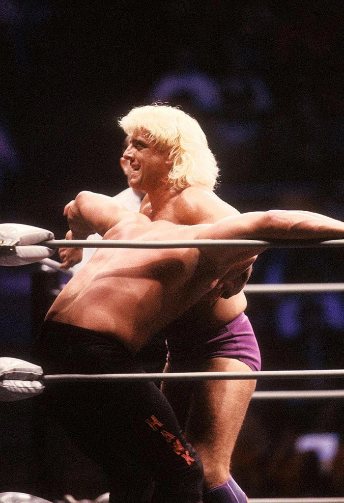 Pro wrestling legend Ric Flair recovering after falling outside Tampa ...