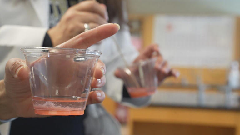 Ian-credible science: DNA extraction with Dr. Elizabeth Racz-Brunner
