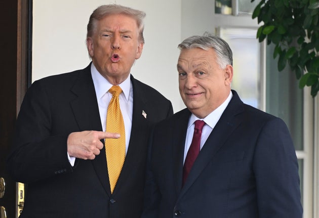 Trump admin urges Orbán to run for UN secretary general: WSJ