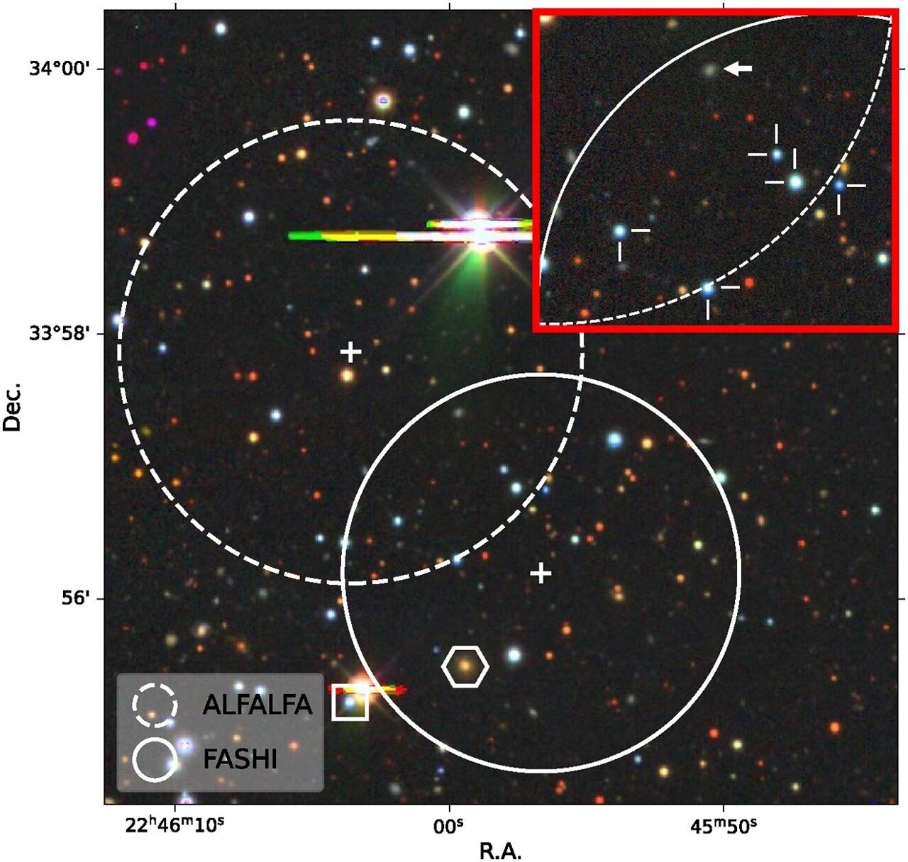 FAST and Arecibo point to possible dark galaxy with vast hydrogen reservoir
