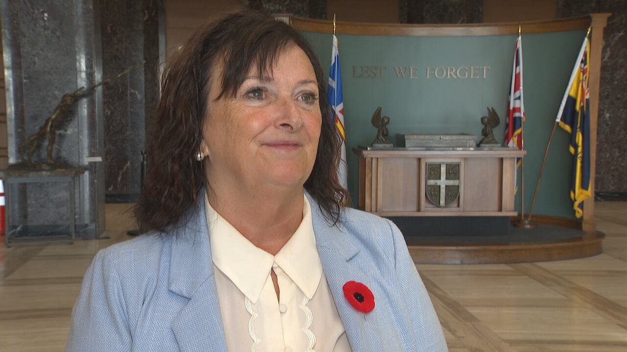 RNC to wear body cameras in 2027, says NL.'s justice minister