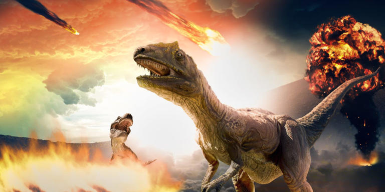 We may be living through a sixth mass extinction—but scientists think ...