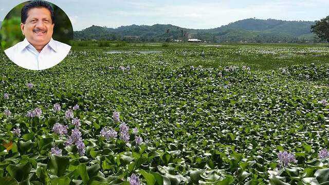 Keralam to form expert panel to find scientific solution to water ...