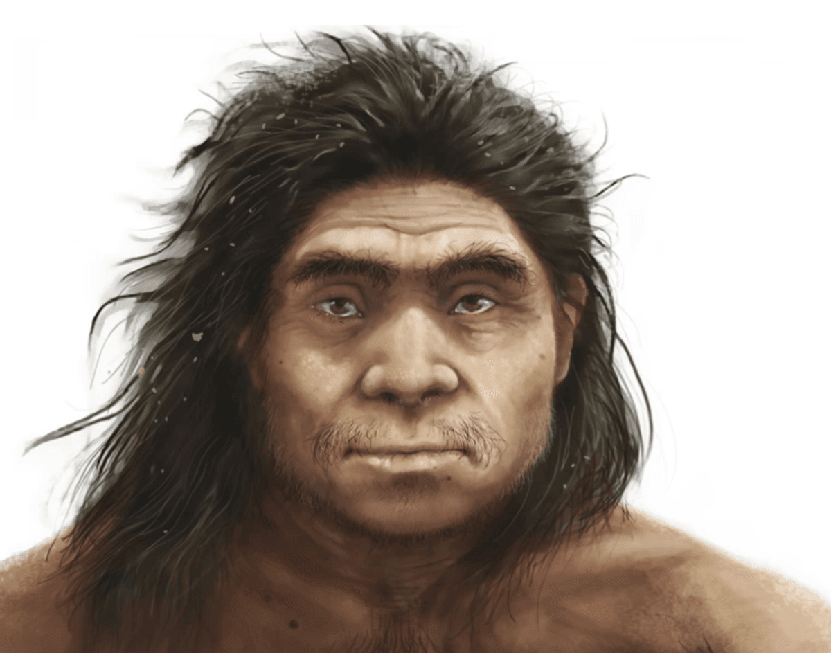 The face of Denisovans revealed after re-analysis of 199,000-year-old ...