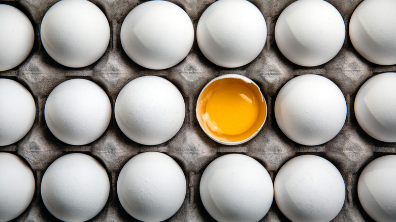 What are freeze dried eggs and are they more affordable than fresh?