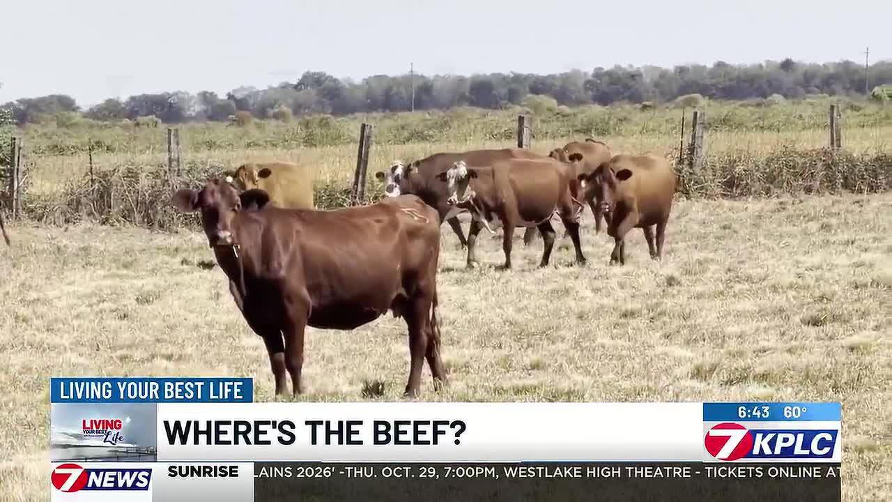 Where’s the beef: How food inspections keep your food safe
