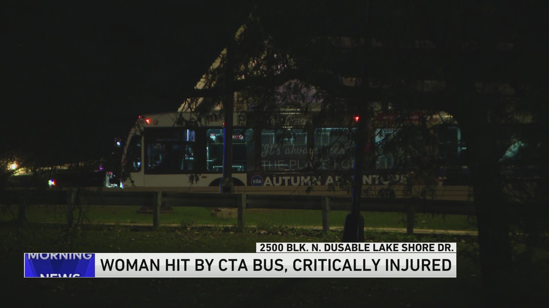 Woman critically injured after being hit by CTA bus on DuSable Lake ...