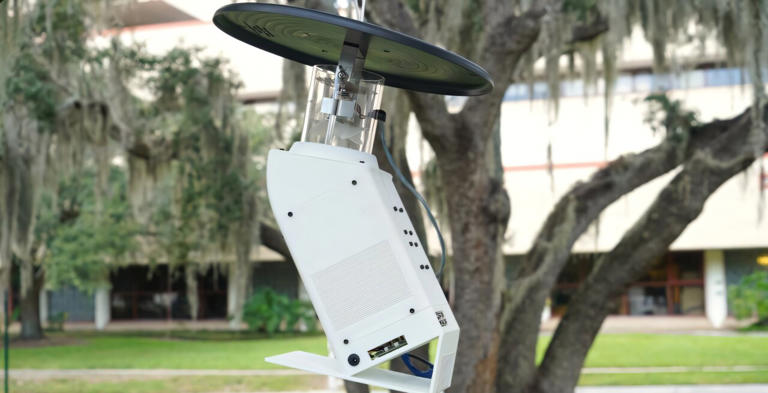 New AI-powered mosquito trap could help curb dengue outbreaks