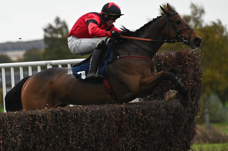 Borders racehorse trainers Stuart Coltherd and Ewan Whillans among ...