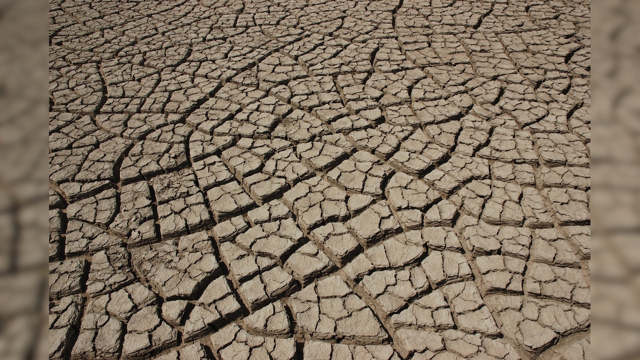 Gujarat declares 4 districts drought-hit despite 89% rainfall, govt ...