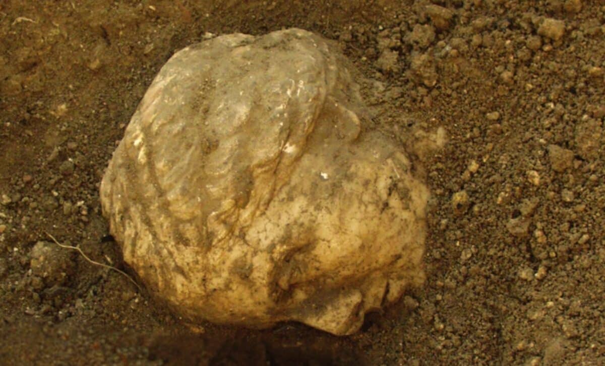 A Roman-era sculpture found beneath an ancient house reveals the face ...