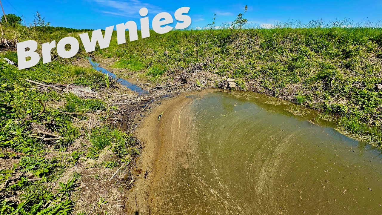 Dirty beaver dam removal