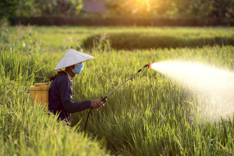 China proposes 133 pesticide residue limits across 61 active ingredients