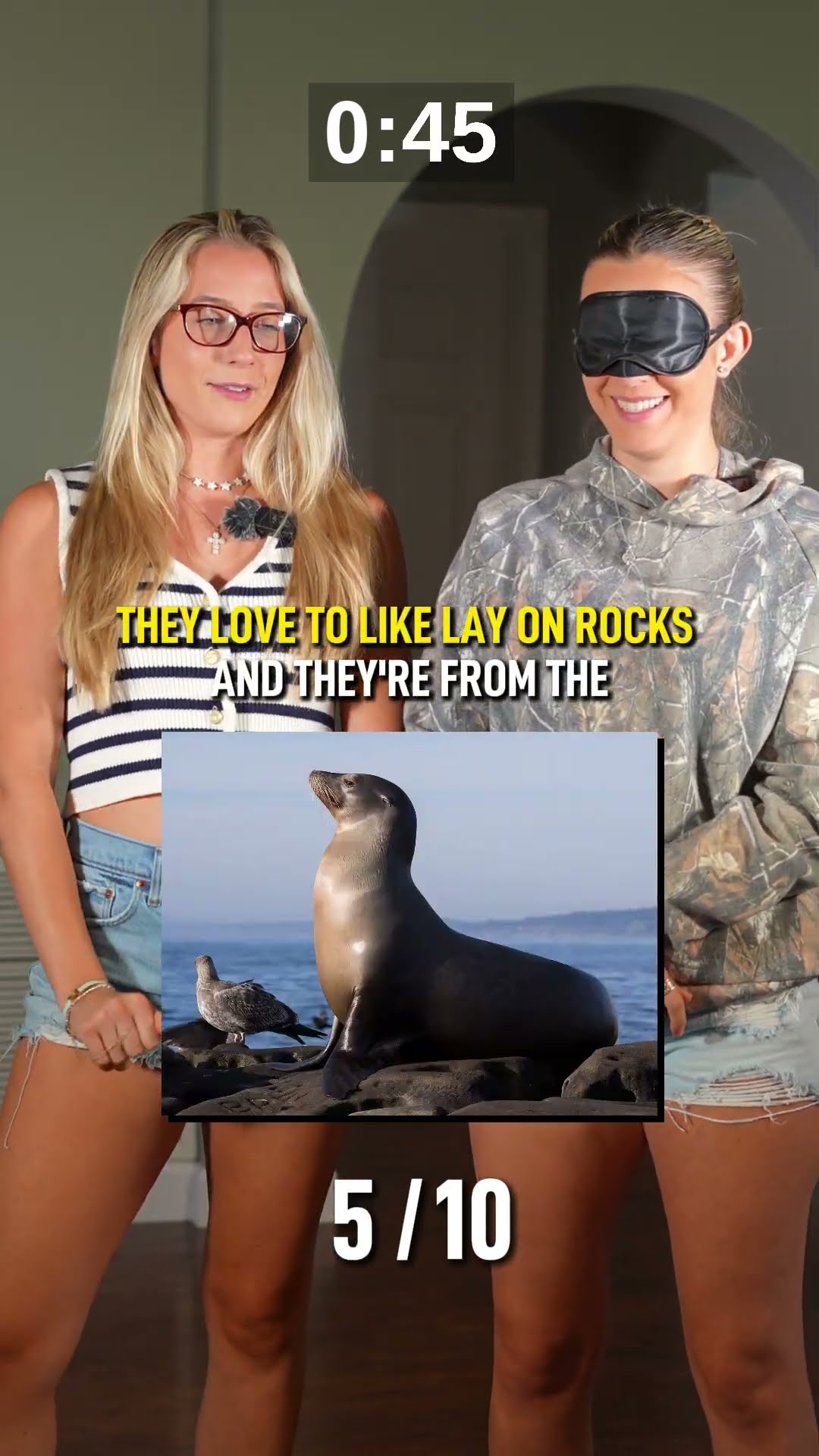 Can you name all 10 animals?