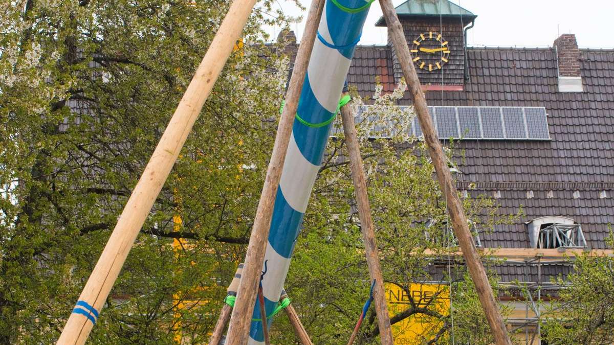 Neubiberger Maibaum wird gefällt: Fäulnis bedroht 32-Meter-Wahrzeichen