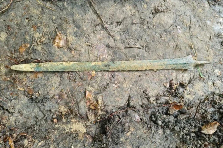 A detectorist saw metal sticking straight up from a forest floor near ...