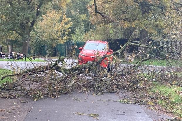 Storm Boelo wreaks havoc across Bradford as several trees come down