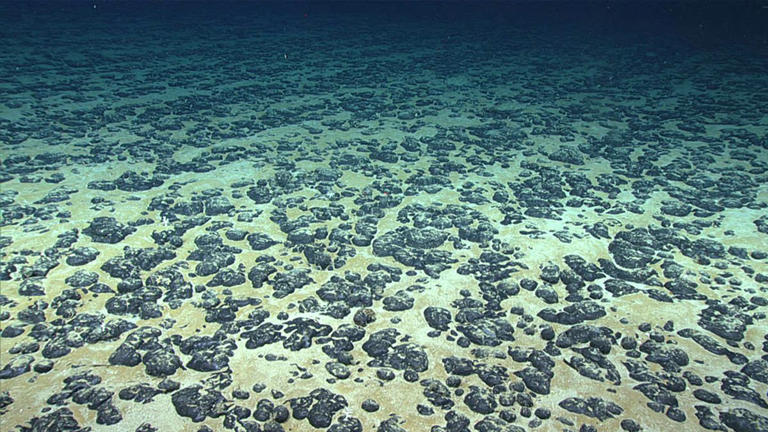 In a world-first, US to sell deep-sea mining leases for over 30 million ...