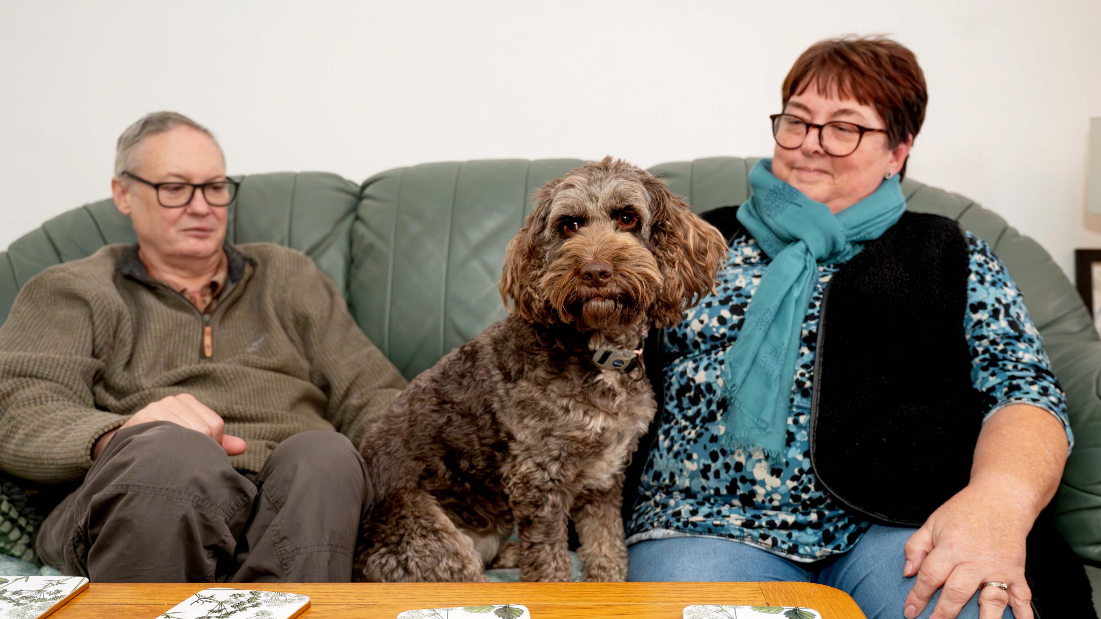 Hero hearing dog saves man's life after alerting deaf owner to fall ...